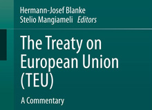 Commentary on Articles 28, 29 and 37 TEU